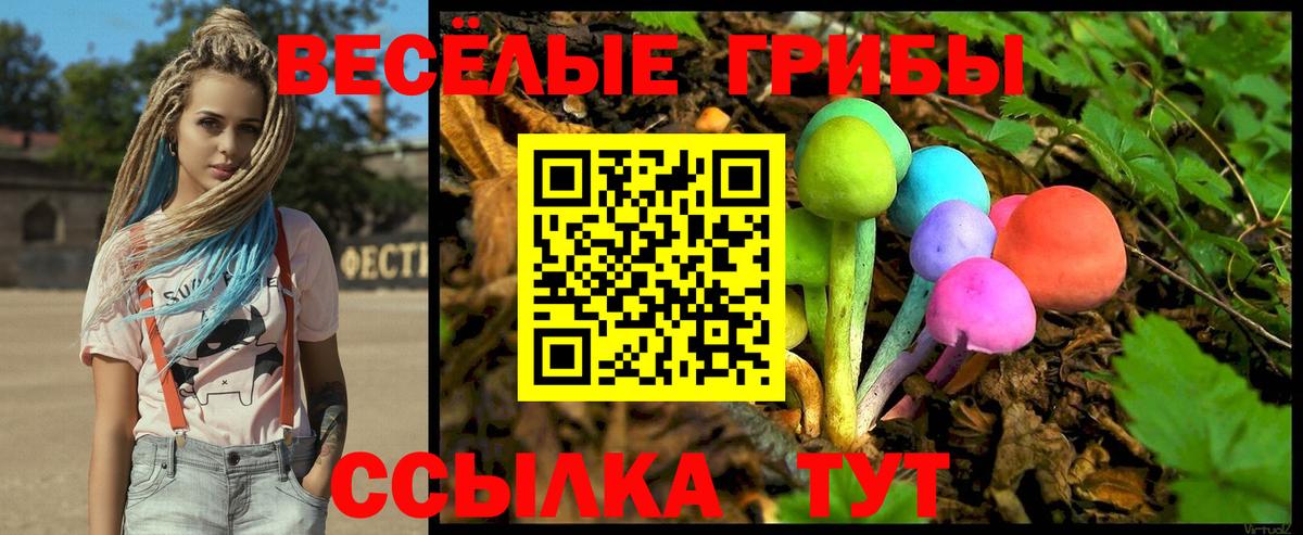 Орехово-Зуево  Галлюциногенные грибы ЛСД  Галлюциногенные грибы Psilocybe  Вход с VPN 